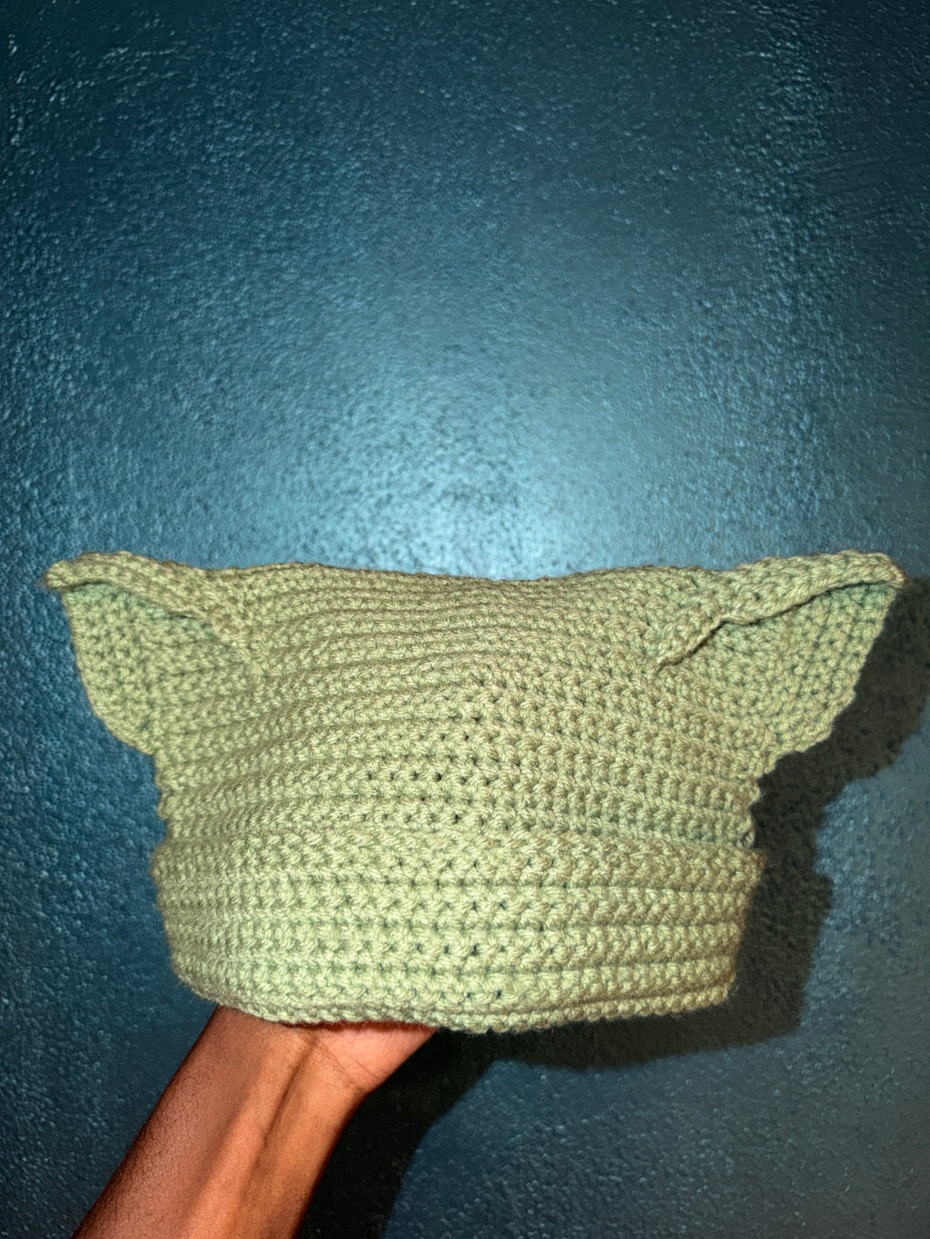 Cat Ear Hat